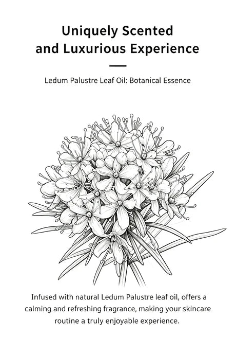 Westelite Anti-aging Cream with Ledum Palustre and Camellia Japonica Oil, 1.7 Oz
