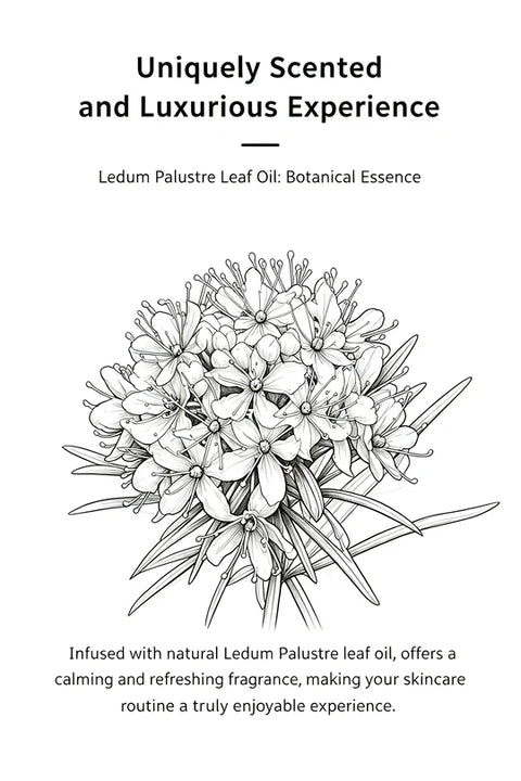 Westelite Serum Oil with Ledum Palustre and Camellia Japonica Oil, 1 Fl Oz